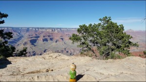 msp grand canyon 02